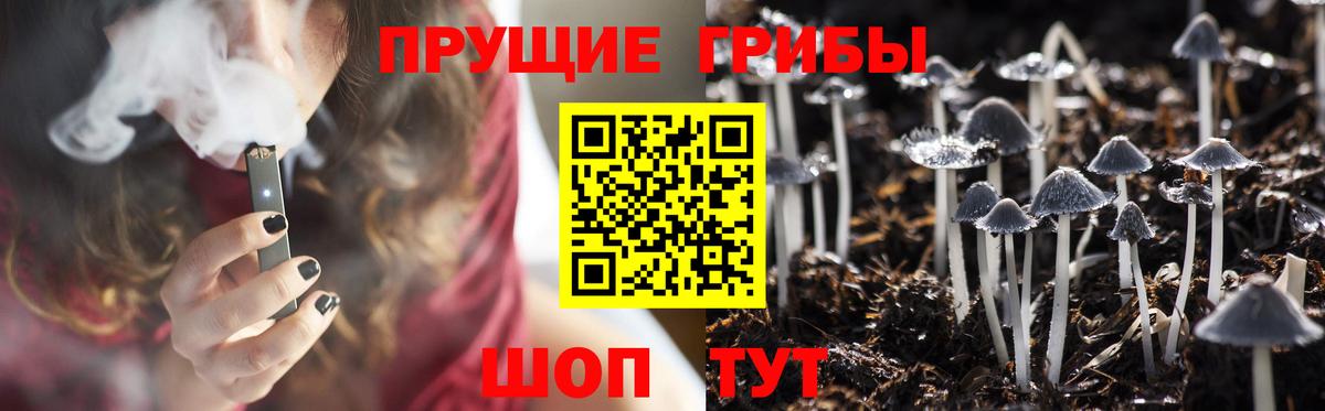 где купить   Псилоцибиновые грибы Psilocybe  Вход с VPN  Ирбит 